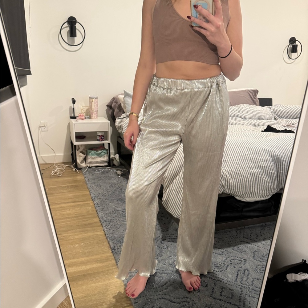 NWOT Silver Please Pants